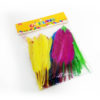 Multicoloured Craft Feathers